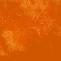 Fahrradhelm - Fellohren - Orange